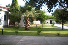 Property 1231 photo 15