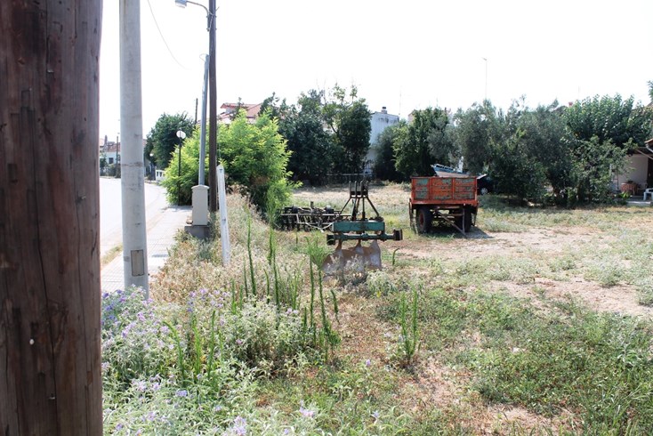 Realty photo 3