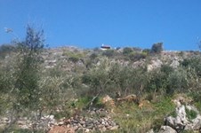 Property 1237 photo 5