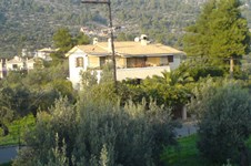 Property 1238 photo 18
