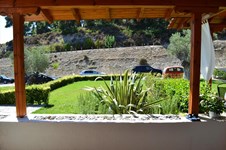 Property 12398 photo 3