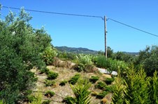 Property 12398 photo 19