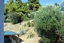 Property 12398 photo 20