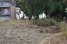 Property 1240 photo 2