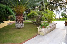 Property 12421 photo 18
