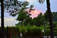 Property 12421 photo 21