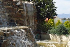 Property 1243 photo 4