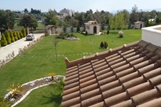 Property 1243 photo 14