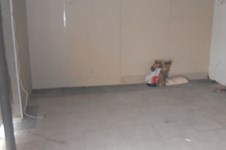 Property 1244 photo 15