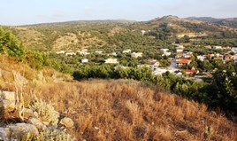 Land 8247 m² in Crete