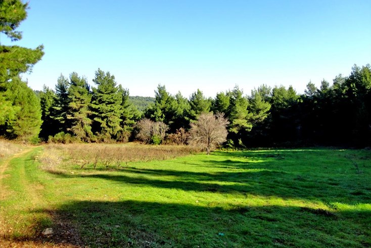 Realty photo 1