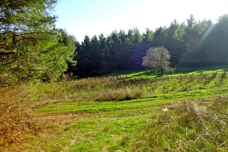 Realty photo 2