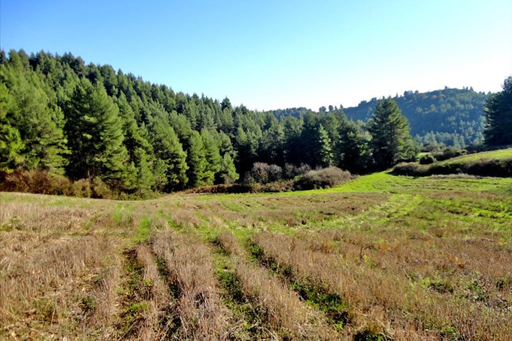 Realty photo 3