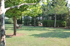 Property 12544 photo 5