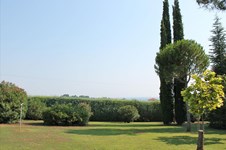 Property 12544 photo 7