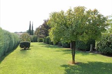 Property 12544 photo 12