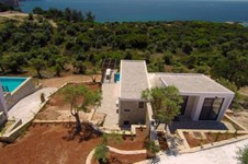 Property 1255 photo 5
