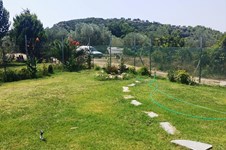 Property 12561 photo 4