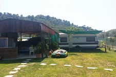 Property 12561 photo 9