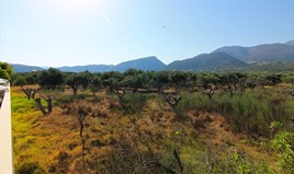 სასტუმრო 5500 m² კრეტაზე