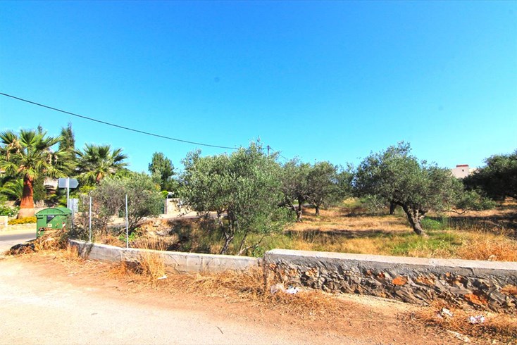 Realty photo 3