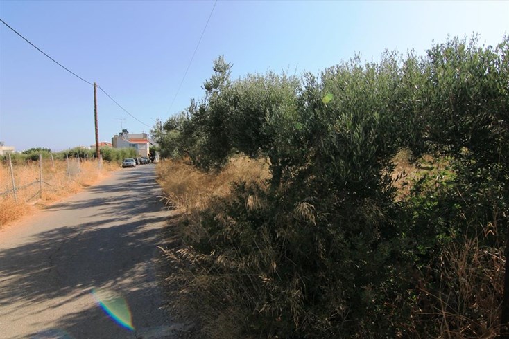 Realty photo 2