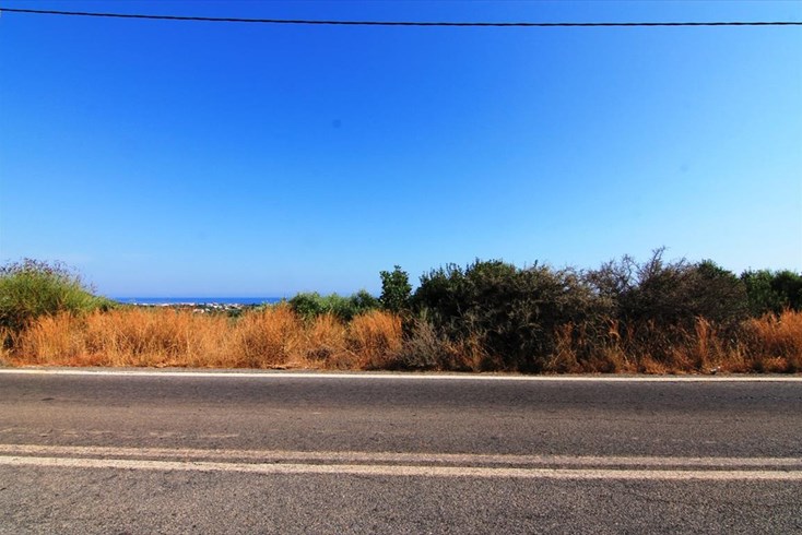 Realty photo 2