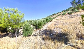 Land 3444 m² in Crete