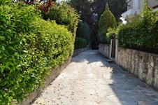 Property 12592 photo 2