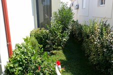 Property 12599 photo 14