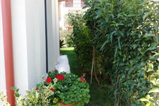 Property 12599 photo 15