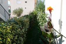 Property 12599 photo 16