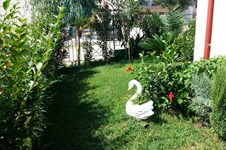 Property 12599 photo 17