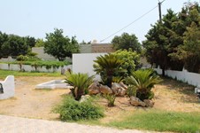 Property 12617 photo 31