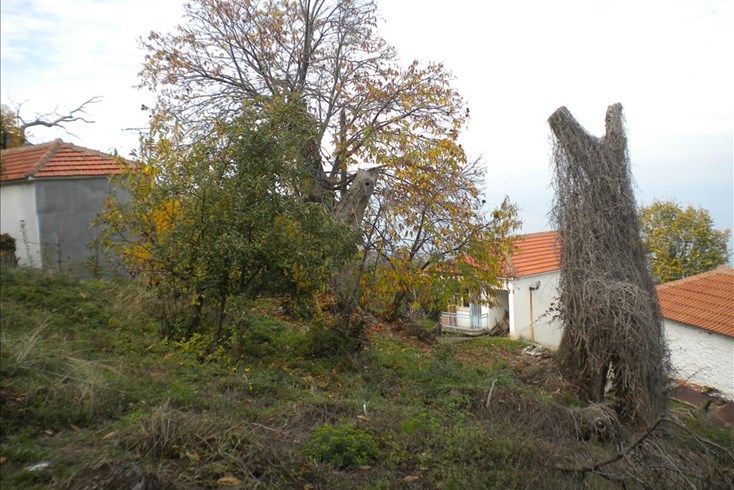 Realty photo 2