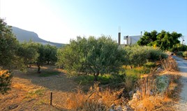 Парцел 1800 m² на Крит
