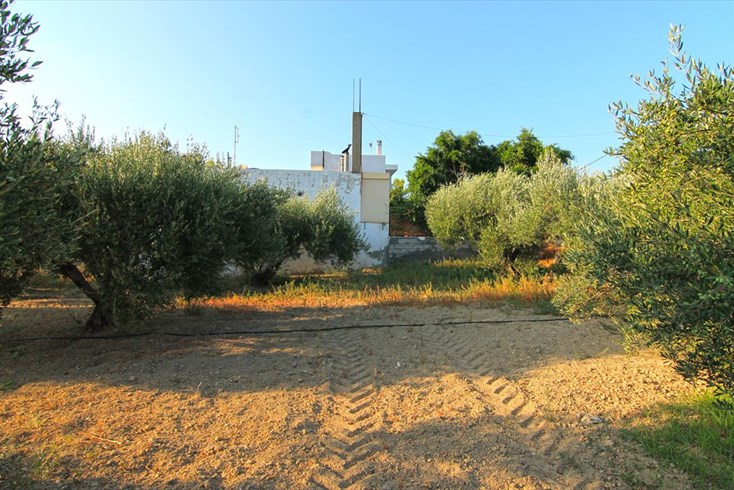 Realty photo 2