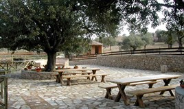Land 44600 m² in Eastern Peloponnese