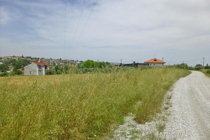 Realty photo 2