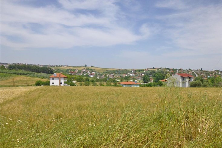 Realty photo 1
