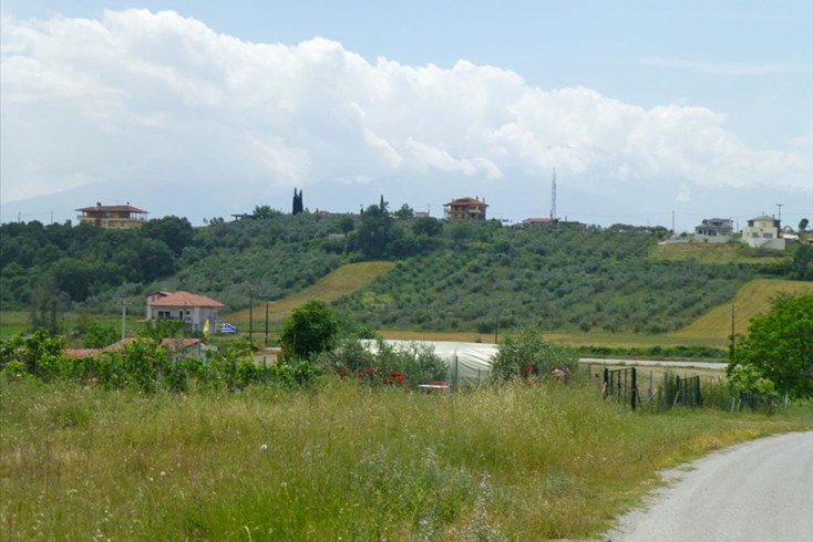 Realty photo 1