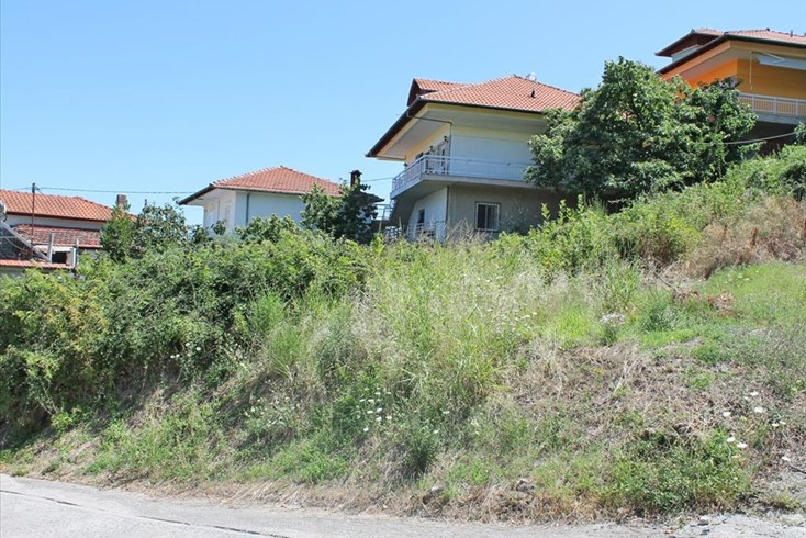 Realty photo 2