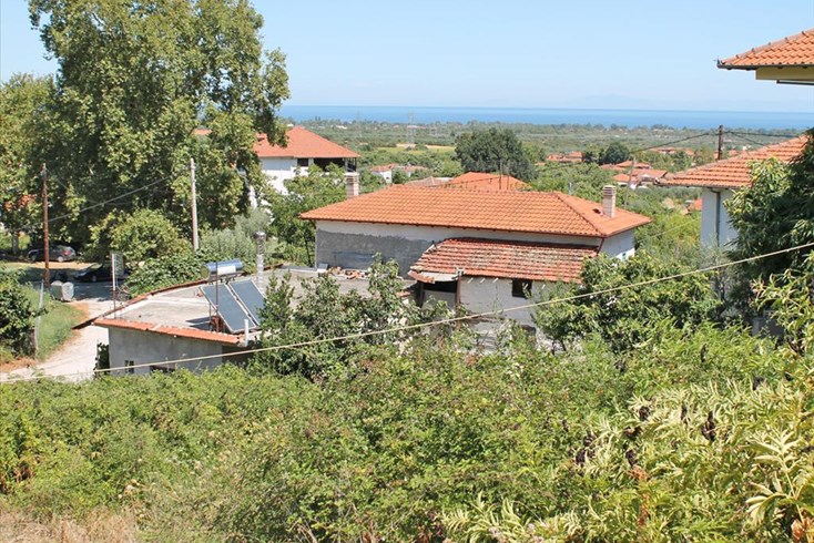 Realty photo 1
