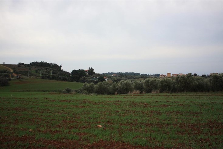 Realty photo 2