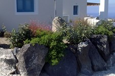 Property 1273 photo 6
