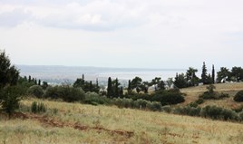 Arsa 4200 m² Selanik’te