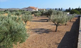 Zemljište 3000 m² na Atici