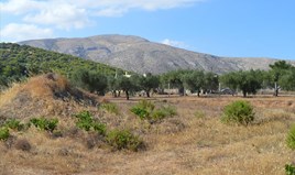Γη 2052 μ² στην Αττική