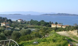 Land 11600 m² auf Athos (Chalkidiki)