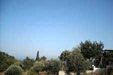 Property 12867 photo 9